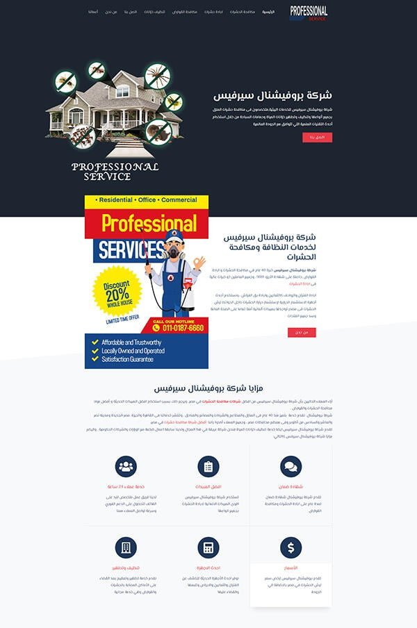 professional service